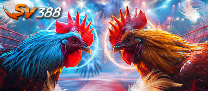 SV388
